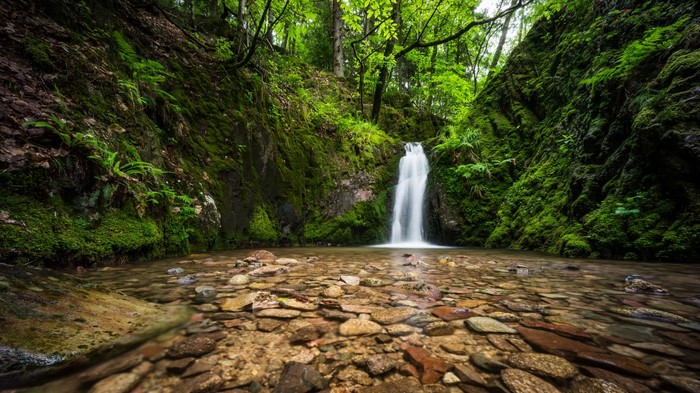 Waterfall in a mossy forest with a rocky stream
