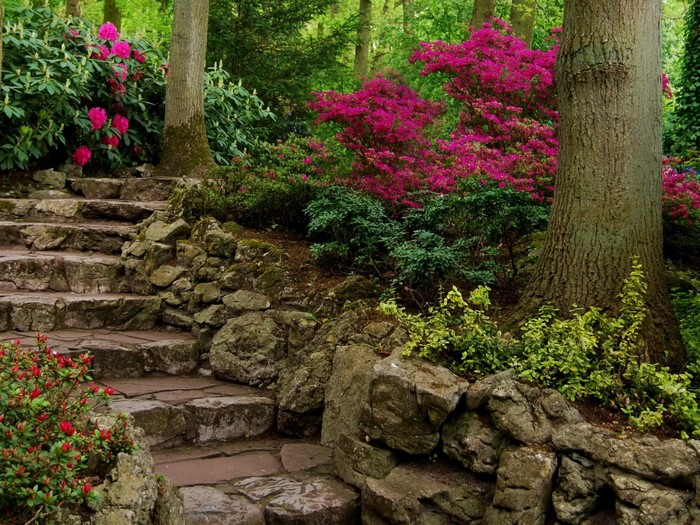 Stone stairs and blooming azaleas in a woodland garden