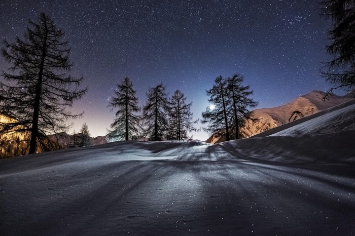 Snowy landscape with trees under a starry night sky