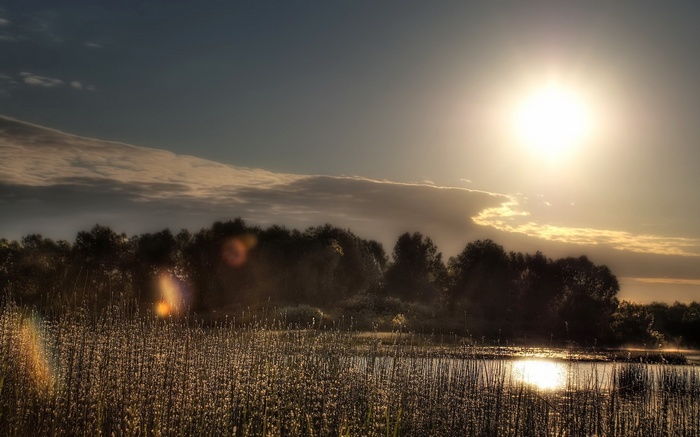 Sunset over a marsh with reeds and trees