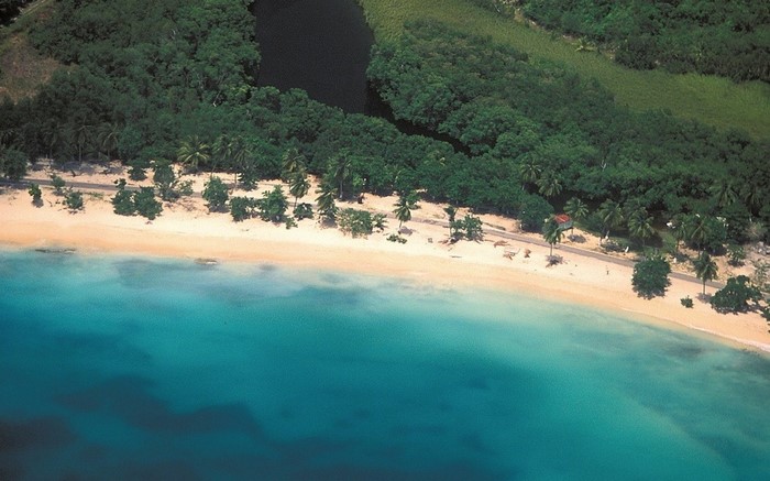Aerial view of a tropical beach with turquoise water and palm trees