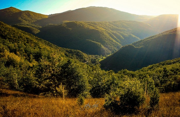 Sunlight over a forested mountain valley