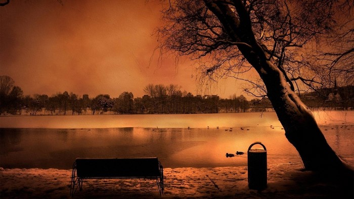 Winter lake scene with a tree and bench