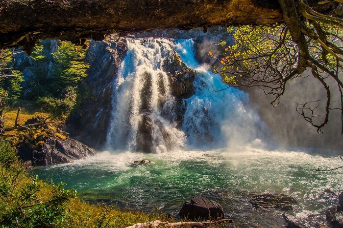 Waterfall in a forest with trees and rocks