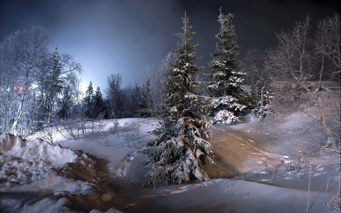 Snowy forest at night with artificial lights