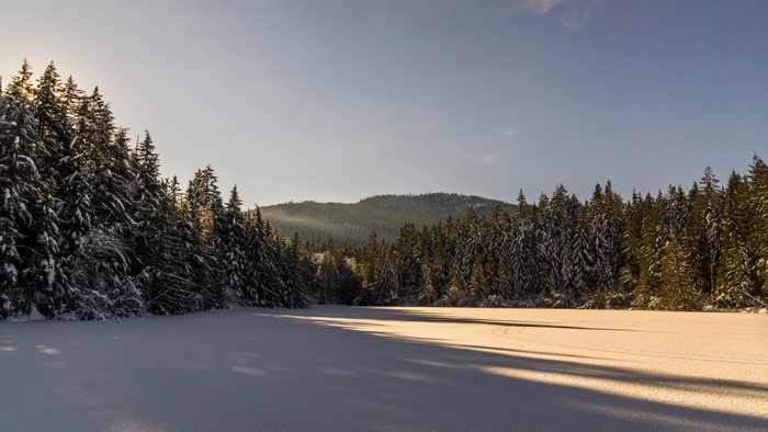 Snowy forest landscape with sunlit frozen lake