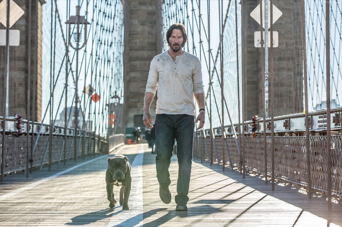 John Wick walking with his dog on Brooklyn Bridge