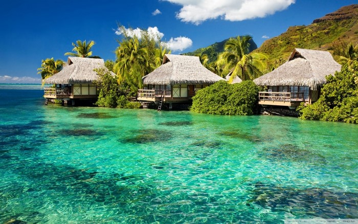 Tropical overwater bungalows in a clear turquoise lagoon