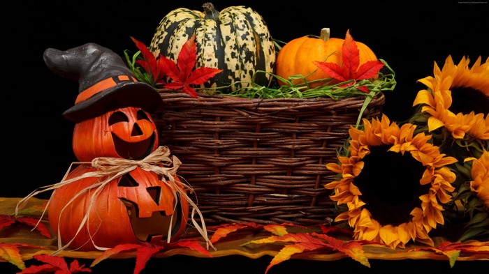Halloween pumpkins and sunflowers with autumn leaves