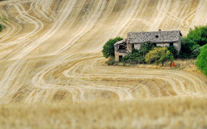 Abandoned stone house in a dry, rolling field