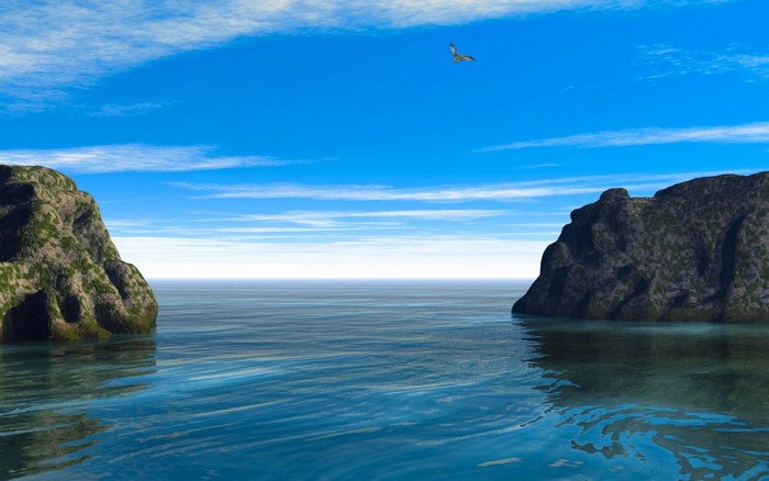 Bird flying over the sea between two rocky cliffs