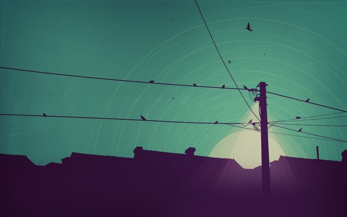 Birds on wires over rooftops at sunset