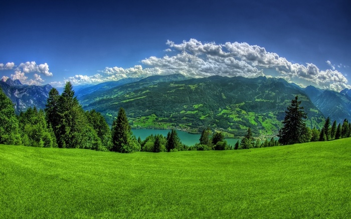 Green meadow overlooking a lake and mountains