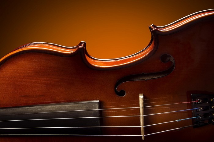 Close-up of a violin's body and strings