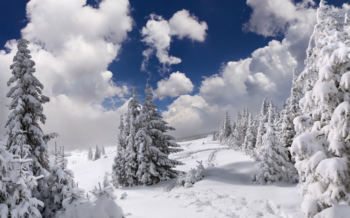 Snowy mountain landscape with pine trees and clouds