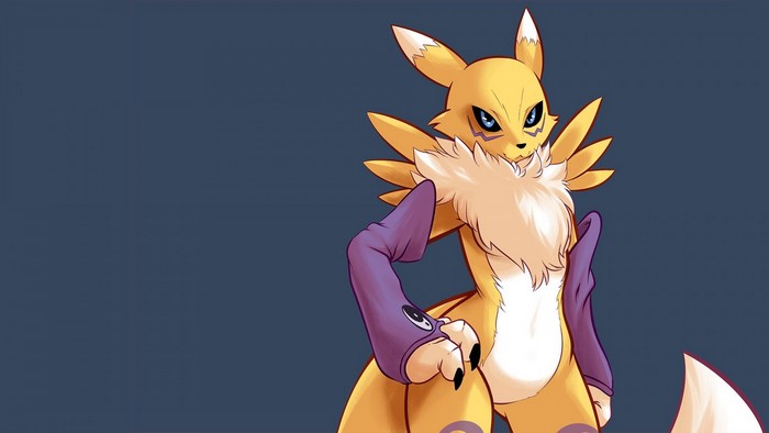 Renamon from Digimon illustration