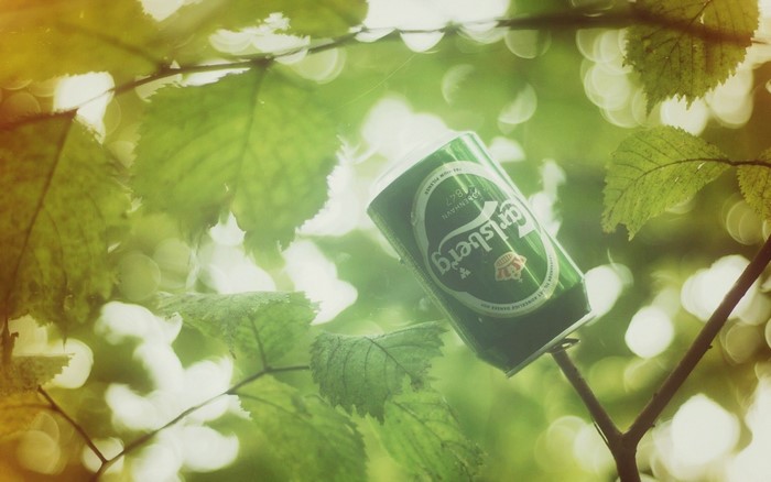 Carlsberg beer can among green leaves