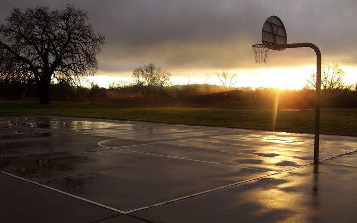 Basketball court at sunset with a large tree