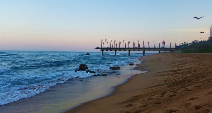Beach and pier at sunrise with birds flying