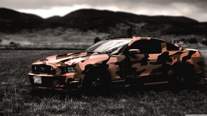 Ford Mustang with camouflage wrap in a field