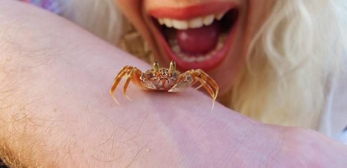 Close-up of a crab on a person's arm with a person screaming