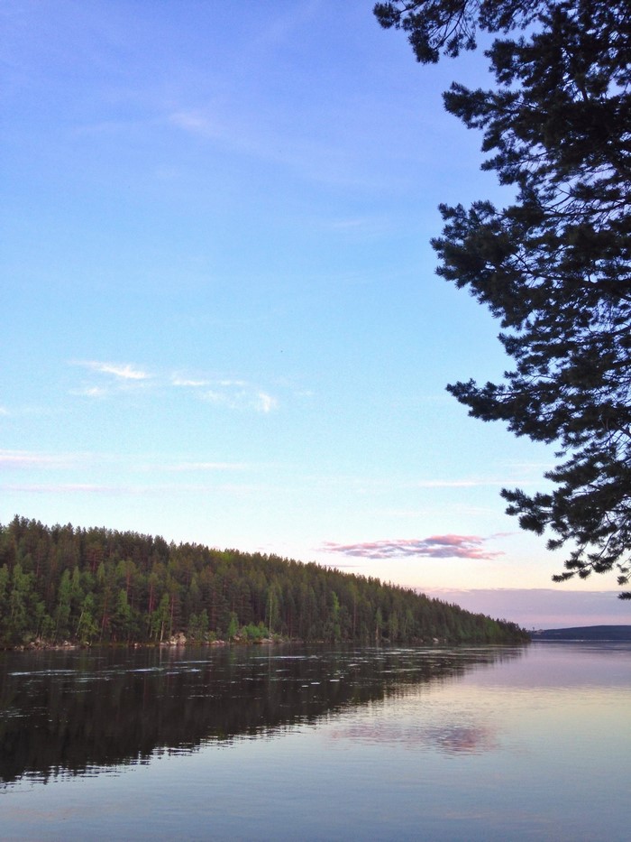 Lake with forest and sky at dusk