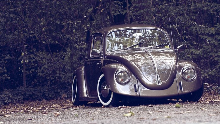 Custom Volkswagen Beetle parked in a forest