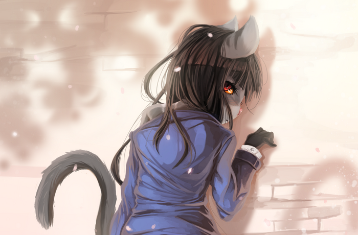 Anime girl with cat ears and tail