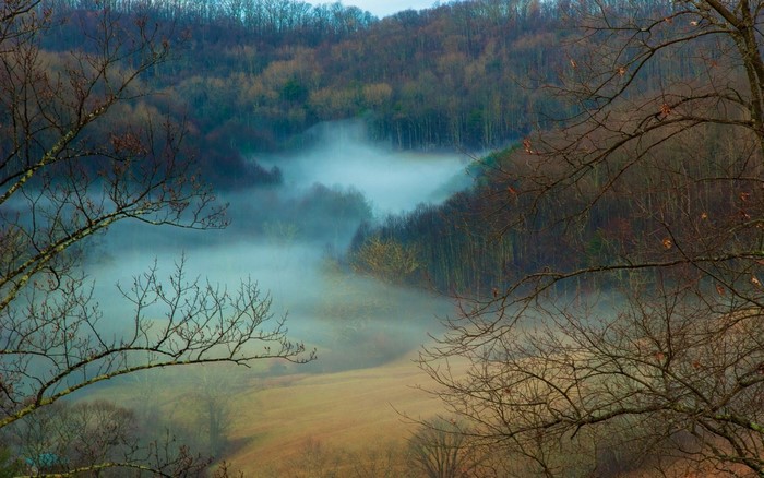 Misty valley in a forest during autumn morning