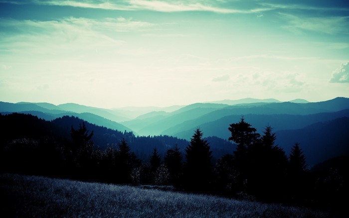 Misty mountain range with silhouetted trees at dawn