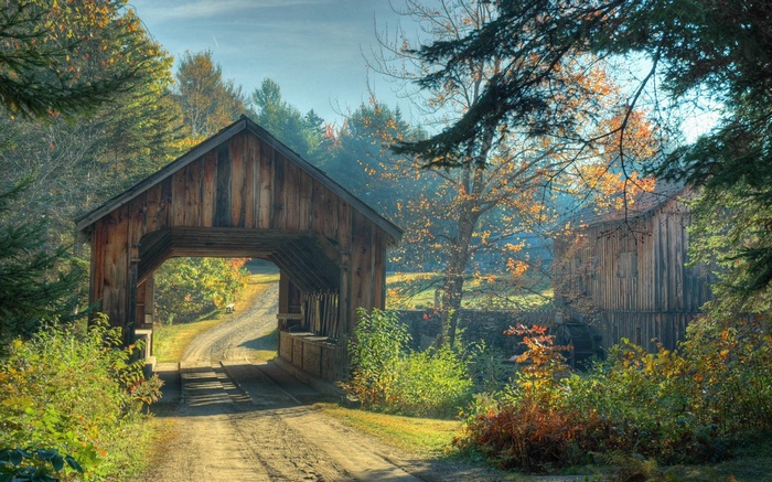 Covered bridge and barn in autumn forest