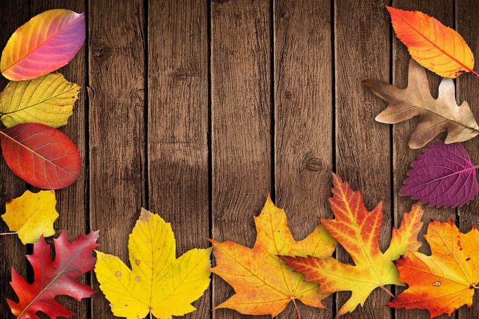 Autumn leaves on a wooden background