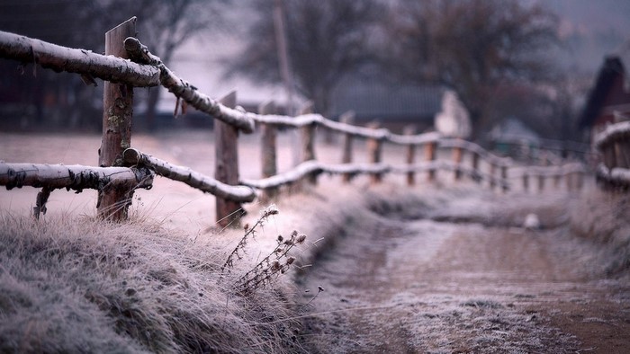 Frosty wooden fence along a path in winter