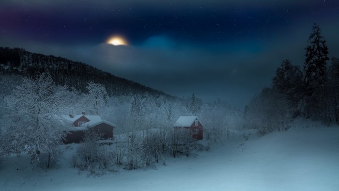 Snowy winter night with moon and houses