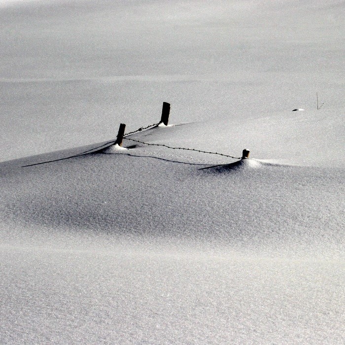 Barbed wire fence posts in snow