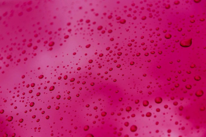 Close up of water drops on a pink surface