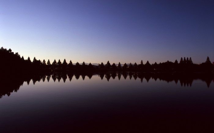Silhouette of trees reflected in a lake at dusk