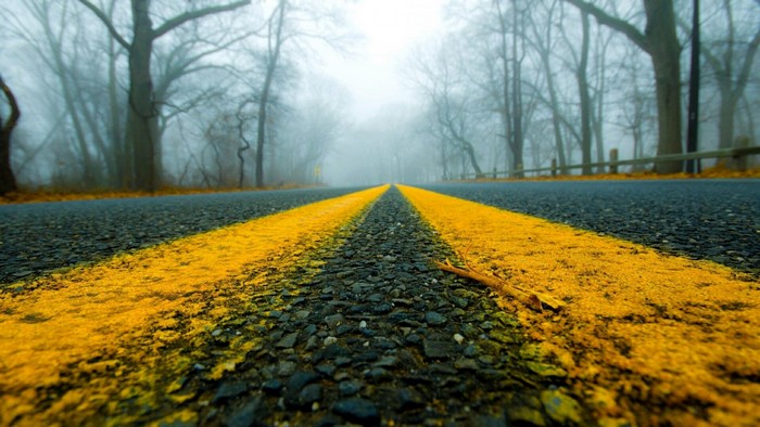 Road with yellow lines in foggy forest