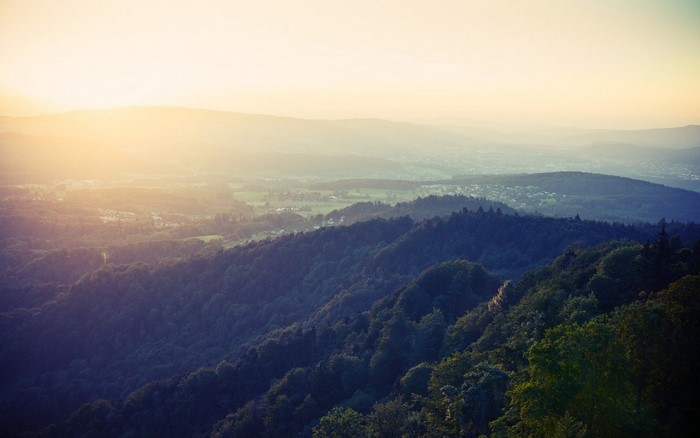 Sunlight over forested hills and valley at dawn