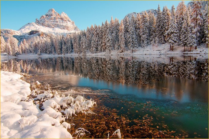 Winter Morning Lake with Snowy Trees and Mountain