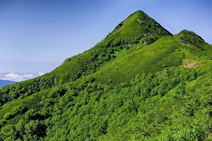 Green mountain slopes with trees under a blue sky
