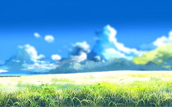 Vast grassy field under a bright blue sky with clouds
