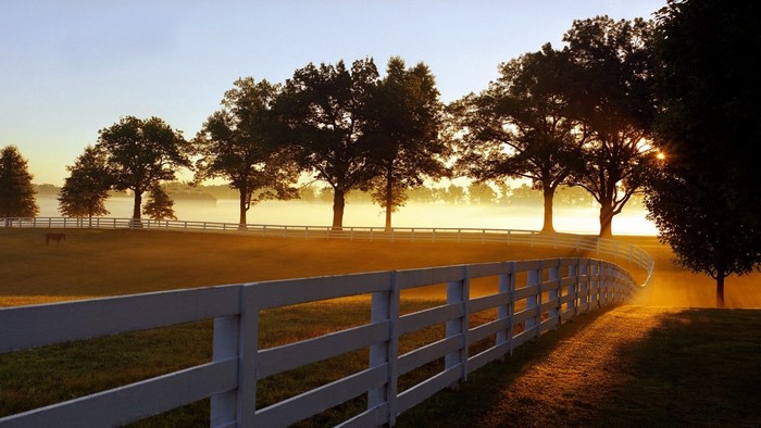 Sunrise over a rural landscape with trees and fence