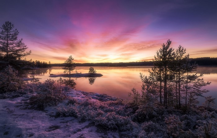 Winter sunset over a frozen lake with pine trees