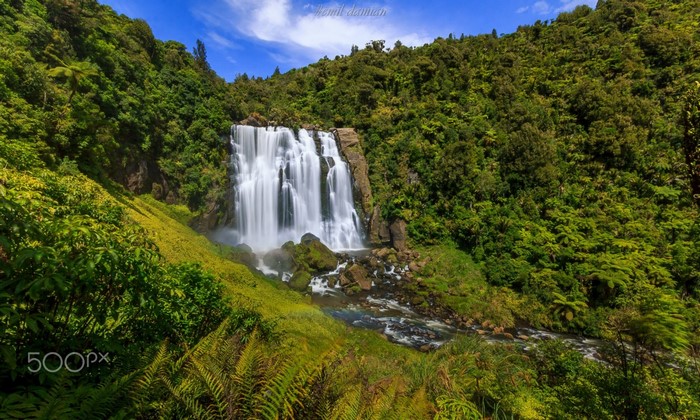 Waterfall cascading through a lush green forest