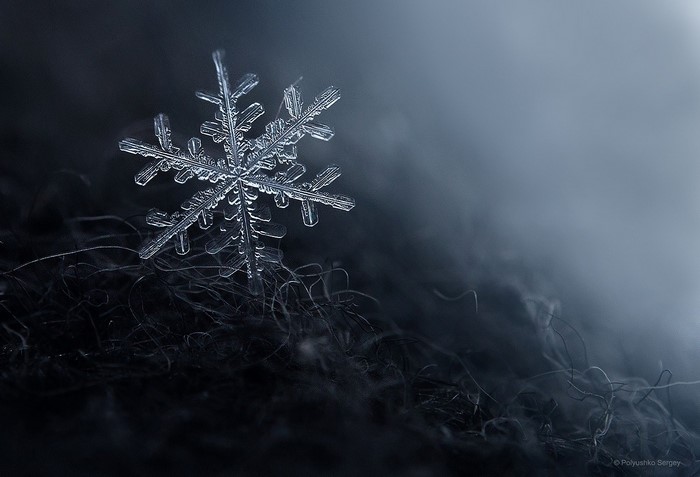Macro photograph of a snowflake on dark fibers