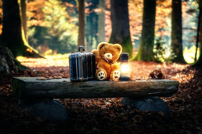 Teddy bear and suitcase on a bench in autumn forest