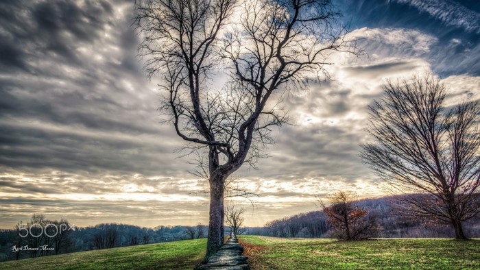 Bare trees on a path at sunset with dramatic clouds