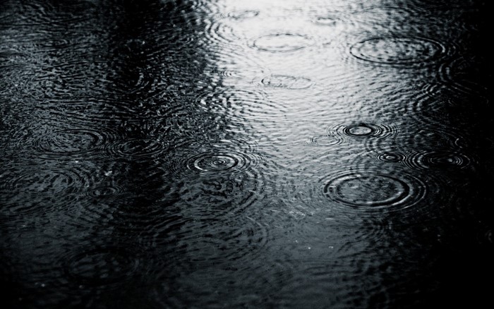 Raindrops creating ripples on a dark surface
