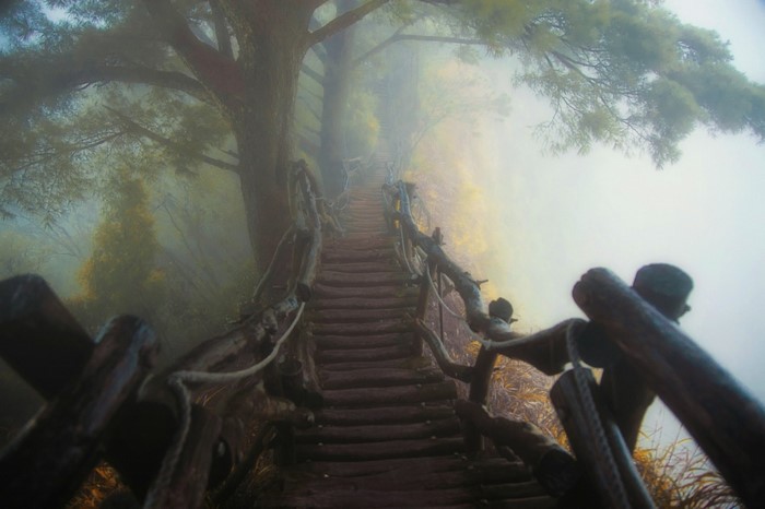 Wooden stairs on a foggy mountain path